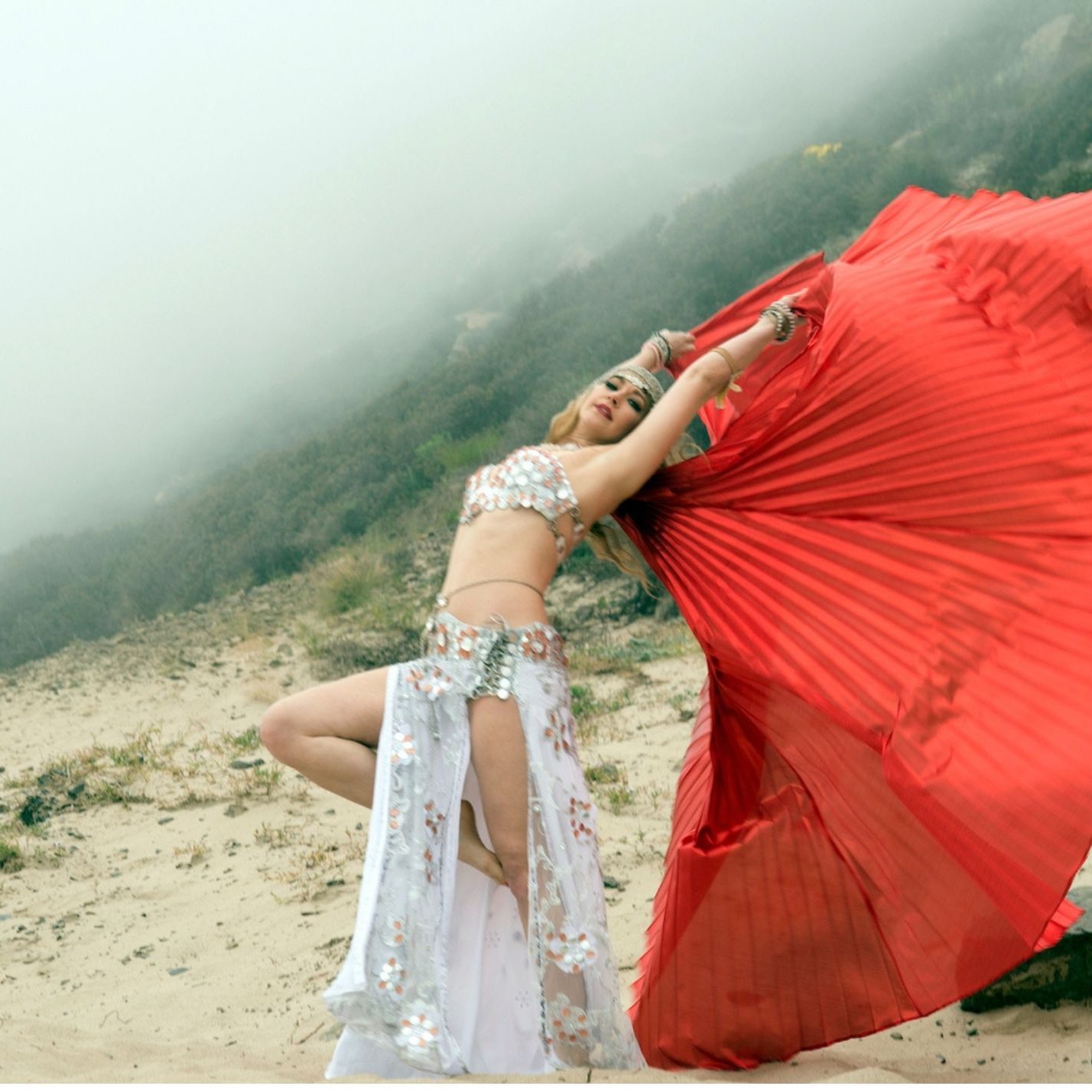 hire belly dancers 6 Belly dance Wings