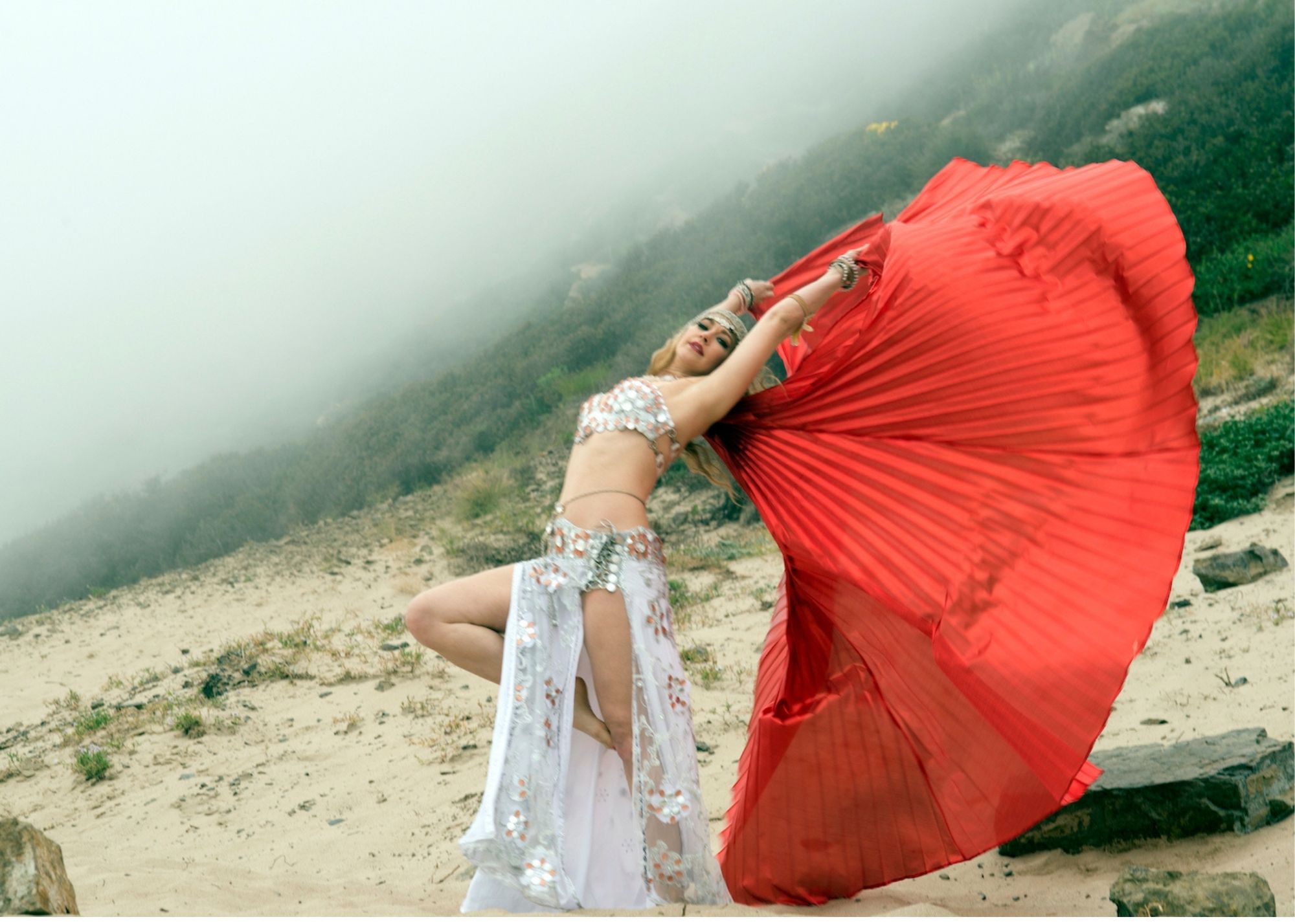 Belly dance Wings
